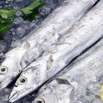 印尼凍帶魚進(jìn)口報(bào)關(guān)